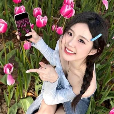 小老鼠历险记