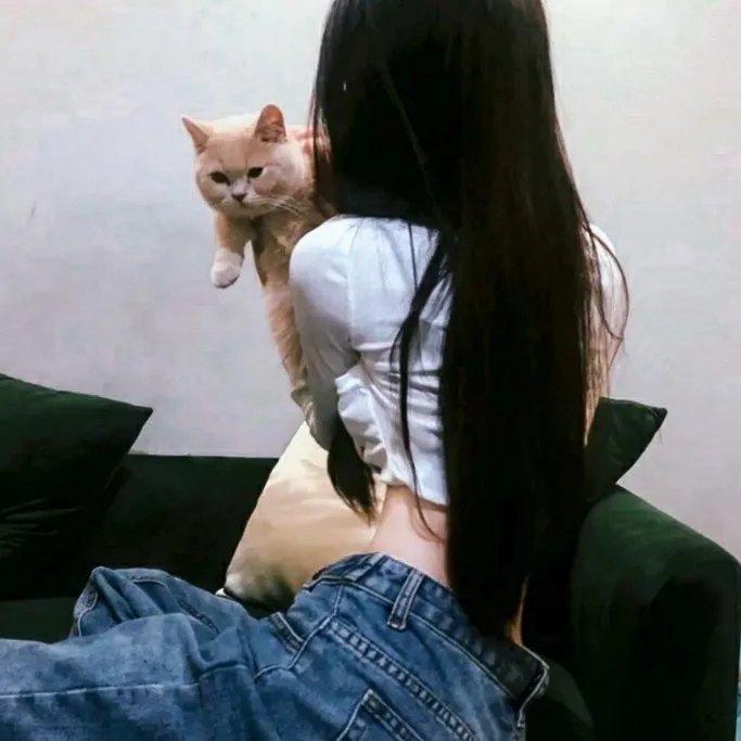 鲨鱼的儿子